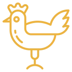 Mad Turkey Farm Chicken Icon