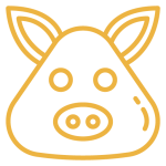 Mad Turkey Farm Pig Icon